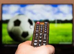 国安,成都蓉城,人战平,万博体育,ManBetX,万博体育网址,万博app,万博官网,万博集团